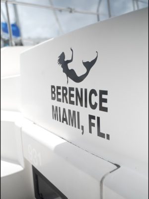 britany-logo